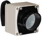 splavl50ralivi